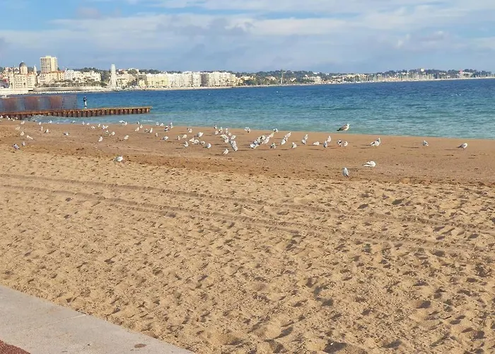 T2 Climatise A 5 Minutes A Pied De La Plage Avec Parking, Piscine Et Wifi