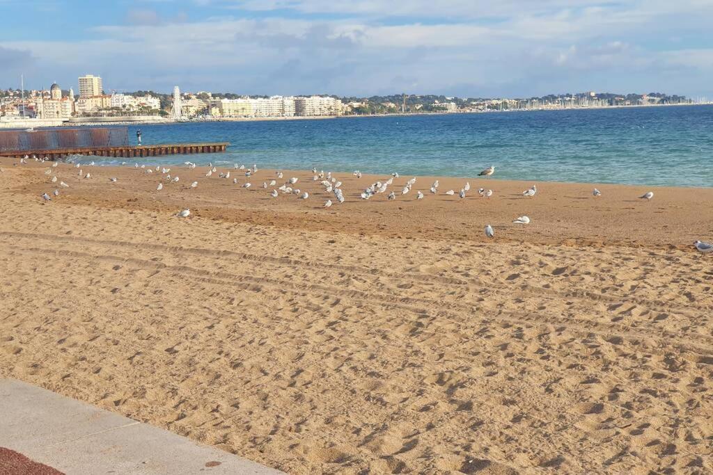 T2 Climatise A 5 Minutes A Pied De La Avec Parking, Piscine Et Wifi Apartment