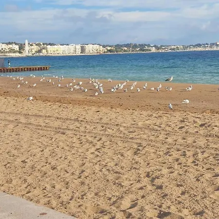T2 Climatise A 5 Minutes A Pied De La Plage Avec Parking, Piscine Et Wifi Frejus Exterior photo